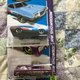 Illustration for article titled Colossal Die-Cast Collection - Cars I Kept - 6 - The Fam